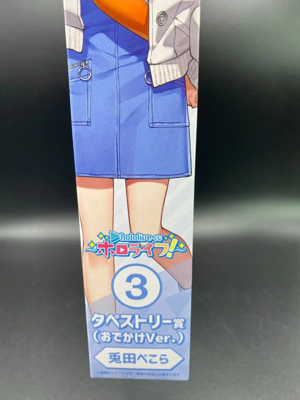 Hololive Usada Pekora Tapestry Scroll 3 (Going Out Version) Kuji Hololife New